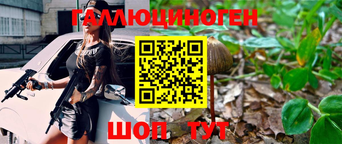 Псилоцибиновые грибы мухоморы Борзя